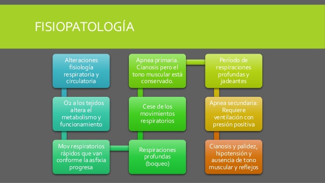 Asfixia Perinatal Fisiopatologia Pdf